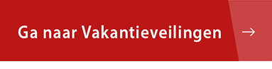 bestel-Veiling2-but